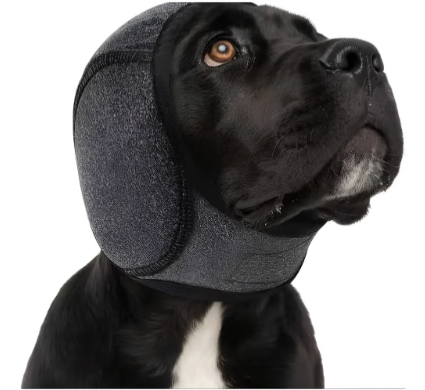 PawsQuiet Noise Cancelling Ear Wrap