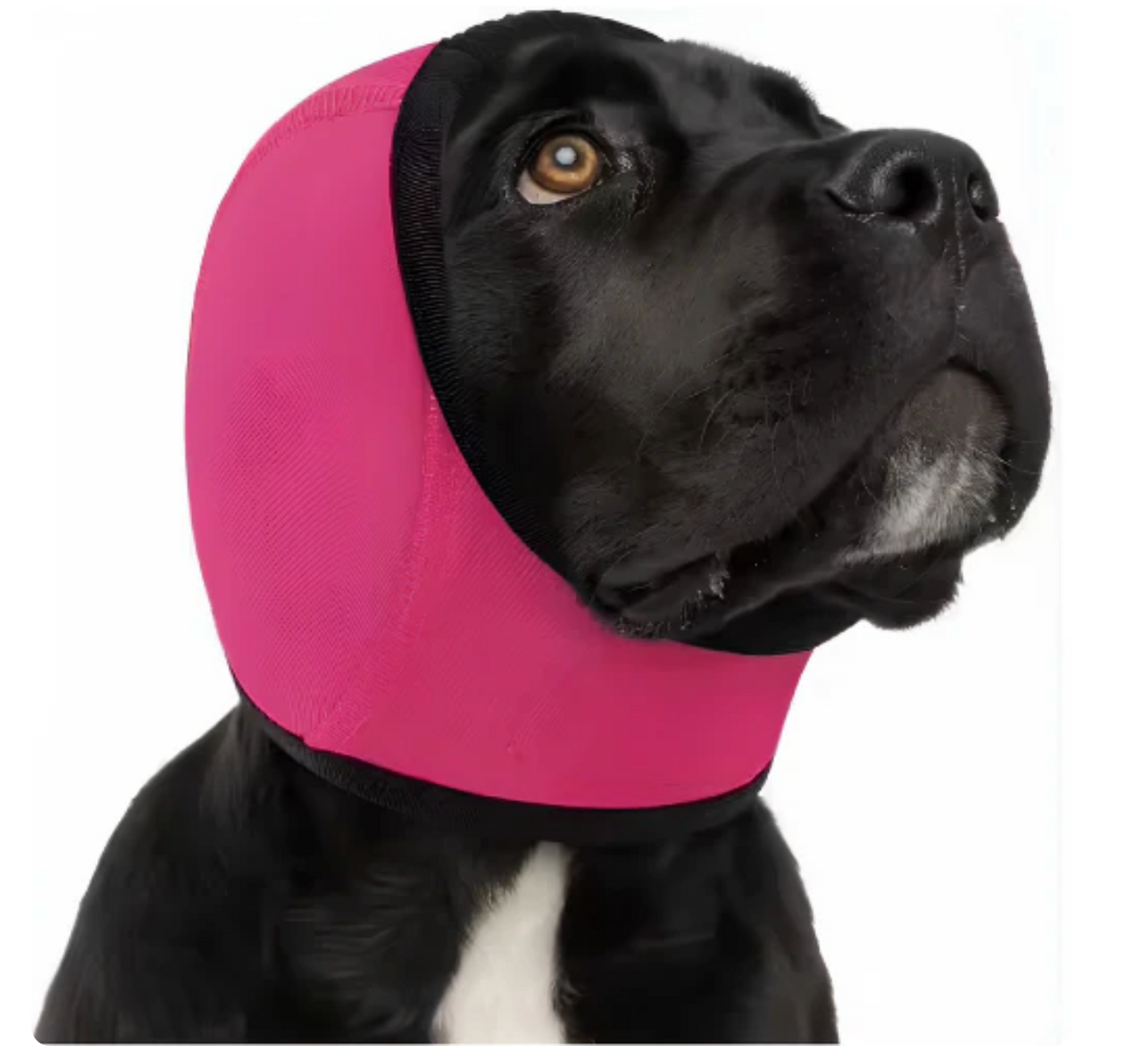 PawsQuiet Noise Cancelling Ear Wrap